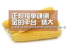 产品名称五
