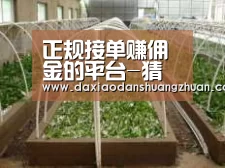 环境展示五