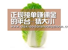产品名称一