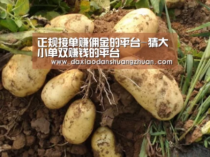 种植基地六