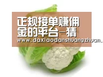 产品名称九