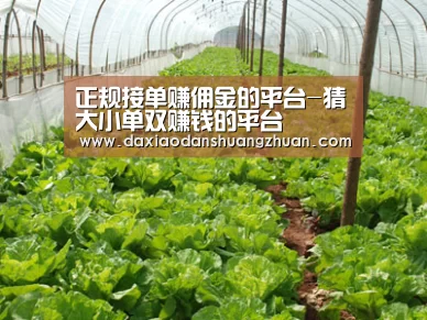 种植基地五