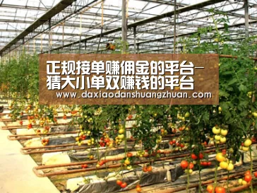 种植基地二