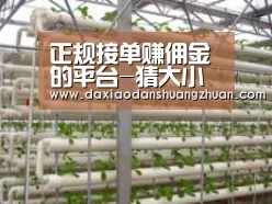 环境展示六