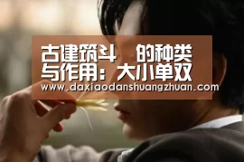 大小单双赚钱平台