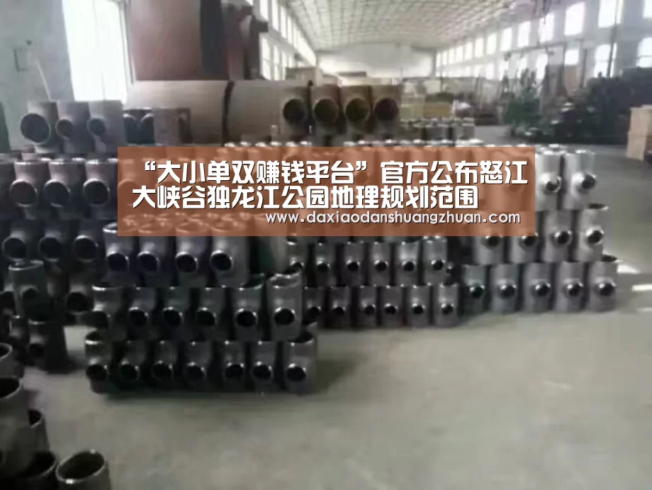 “大小单双赚钱平台”官方公布怒江大峡谷独龙江公园地理规划范围(图1) 大小单双正规app平台
