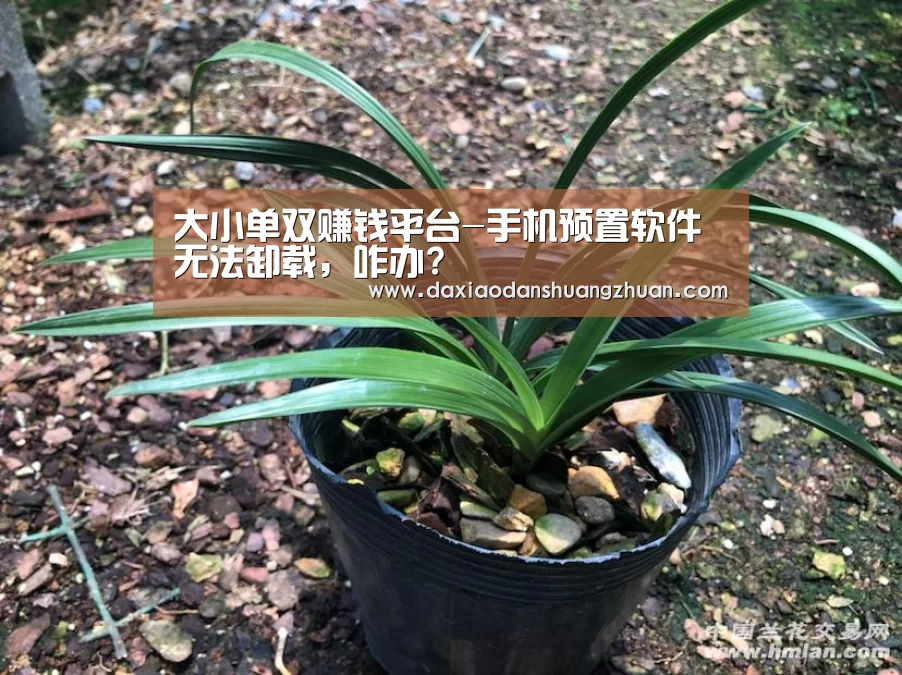 大小单双赚钱平台-手机预置软件无法卸载,咋办?(图3) 大小单双赚钱平台