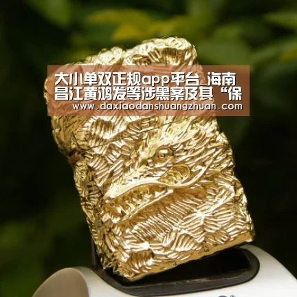 大小单双正规app平台_海南昌江黄鸿发等涉黑案及其“保护伞”案二审维持原判(图3) 大小单双app下载