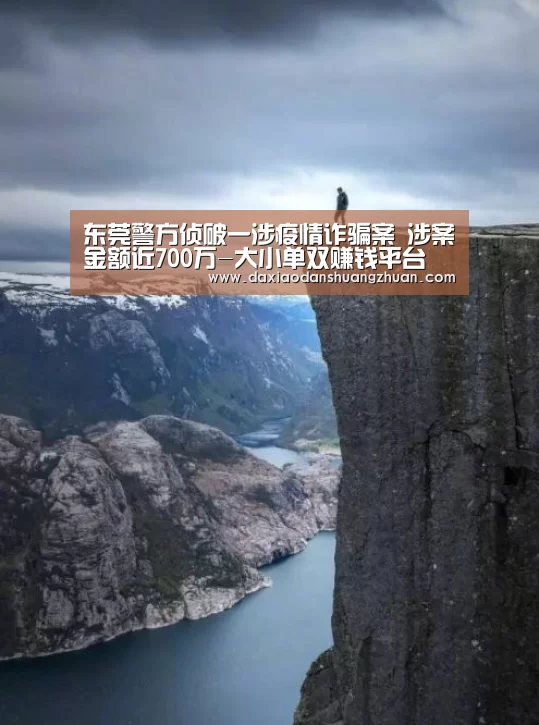 大小单双赚钱平台