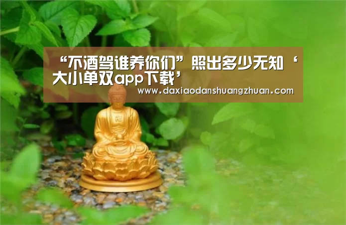 “不酒驾谁养你们”照出多少无知‘大小单双app下载’(图1) 大小单双赚钱平台