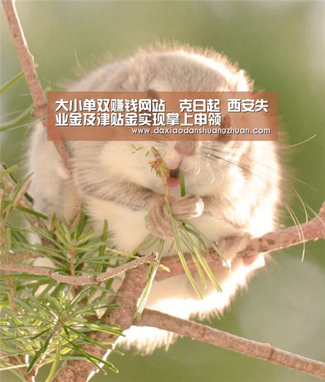 大小单双赚钱网站_
克日起 西安失业金及津贴金实现掌上申领(图1) 大小单双赚钱网站