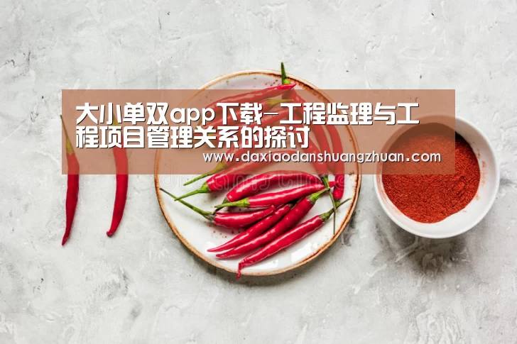 大小单双赚钱网站