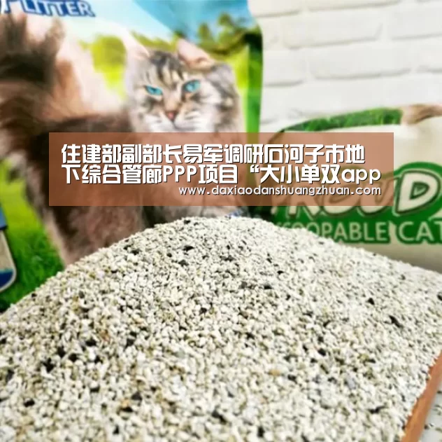 大小单双赚钱平台