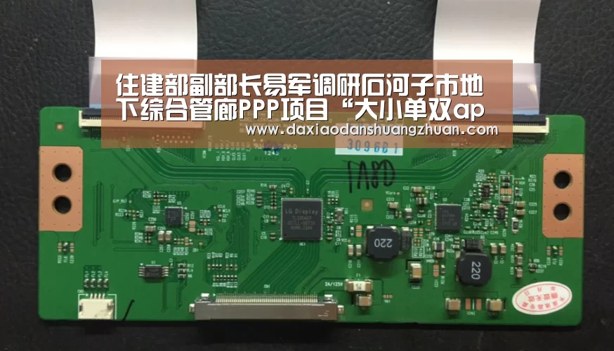 大小单双赚钱平台